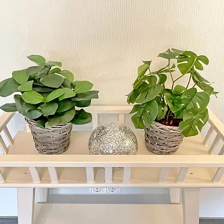 Sonnenring * Stennewitz