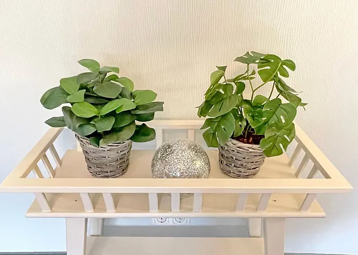 Sonnenring * Stennewitz